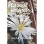 Lithops - Flowering Stones - Paperback