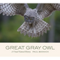 Great Gray Owl: A Visual Natural History - Hardcover