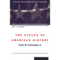 The Cycles of American History - Paperback