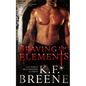 Braving the Elements (Darkness, 2) - Paperback