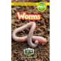 Worms: Backyard Bugs and Creepy-Crawlies (Engaging Readers, Level Pre-1) - Hardcover
