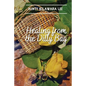 Healing from the Dilly Bag - Paperback