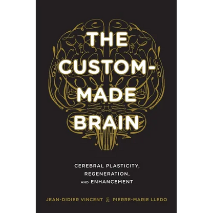 The Custom-Made Brain: Cerebral Plasticity, Regeneration, and Enhancement - Hardcover