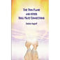 The Twin Flame and Other Soul Mate Connections (handy size) - Paperback