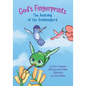God's Fingerprints The Anatomy of the Hummingbird - Paperback