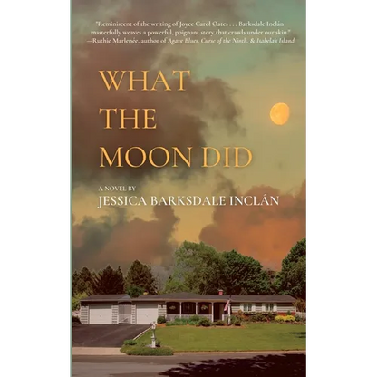 What the Moon Did - Paperback