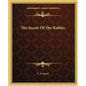The Secret of the Rabbis - Paperback