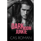 Dark Room Junkie: A Too Many Secrets And Second Chance MM Romance - Paperback