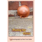 Peeling My Onion: An Autobiography by Peter Frost Gelber - Paperback