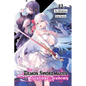 The Demon Sword Master of Excalibur Academy, Vol. 12 (Light Novel): Volume 12 - Paperback