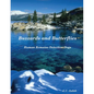 Buzzards and Butterflies - Human Remains Detection Dogs - Paperback