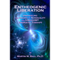 Entheogenic Liberation: Unraveling the Enigma of Nonduality with 5-MeO-DMT Energetic Therapy - Paperback