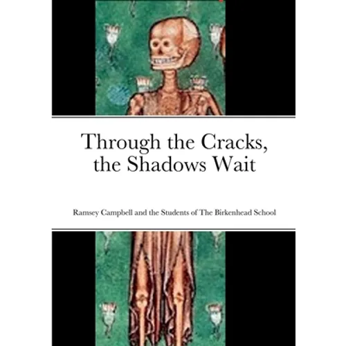 Through the Cracks, the Shadows Wait - Paperback