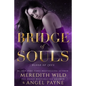Bridge of Souls: Blood of Zeus: Book Four - Paperback