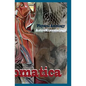 Astral Somatica 1: Essays & Activities on the Astral Body - Paperback