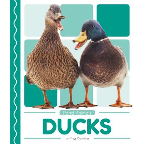 Ducks - Library Binding