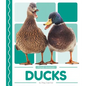 Ducks - Library Binding