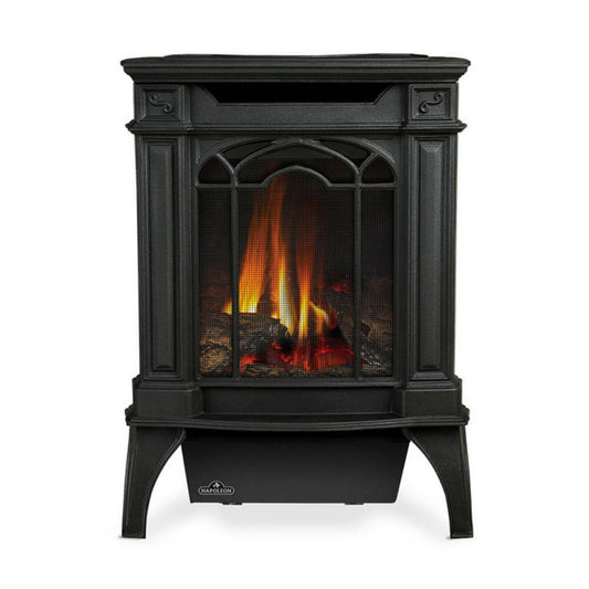 Napoleon Arlington 20 19-Inch Cast Iron Millivolt Ignition Natural Gas Stove [GDS20NSB] (SAK93714)