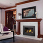 Napoleon Oakville X3/X4 Direct Vent Electronic Ignition Natural Gas Fireplace Insert [GDIX3N/4N-1] (SAK21347)