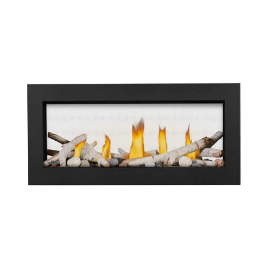 Napoleon Vector 38-Inch See-Through Direct Vent Electronic Ignition Natural Gas Fireplace With eFIRE Bluetooth App [LV38N2-1] (SAK29471)