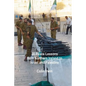 20 Peace Lessons from Northern Ireland to Israel and Palestine - Paperback