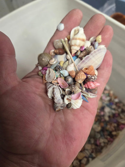 Natural & Dyed Small Shell Assortment Mix