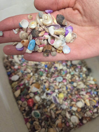 Natural & Dyed Small Shell Assortment Mix