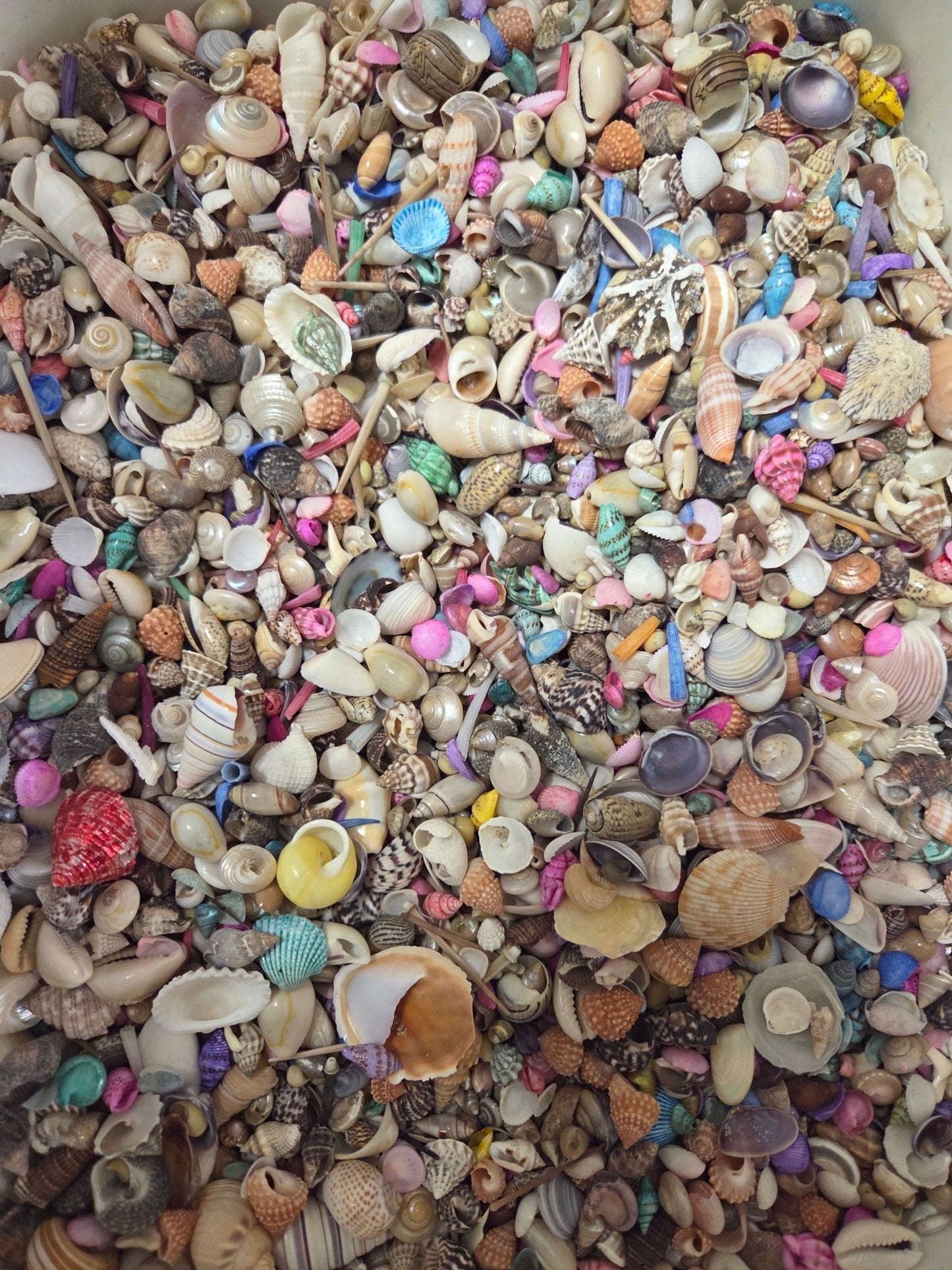 Natural & Dyed Small Shell Assortment Mix