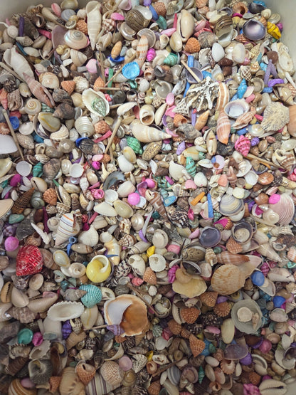 Natural & Dyed Small Shell Assortment Mix