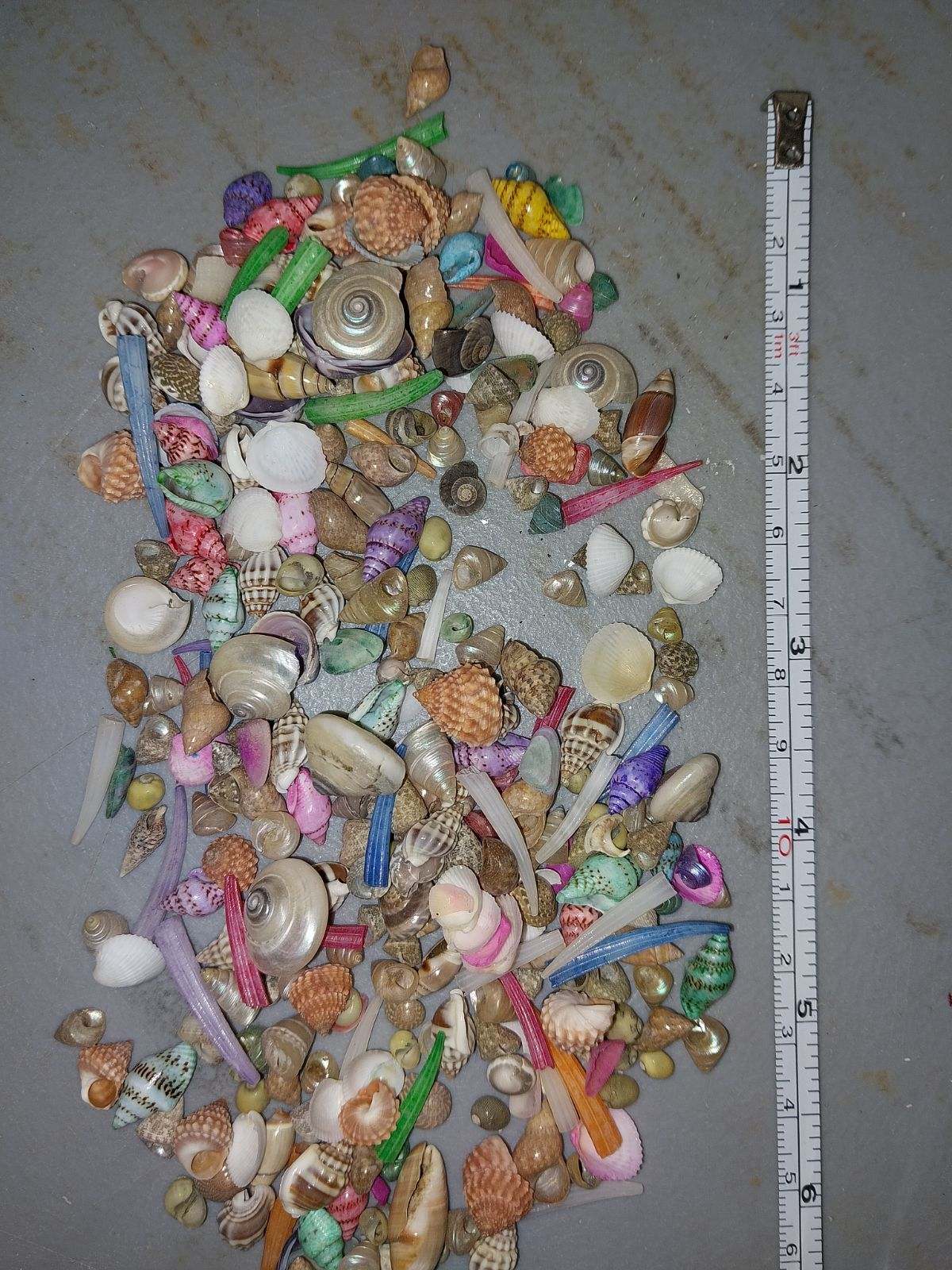 Natural & Dyed Small Shell Assortment Mix