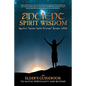 Ancient Spirit Wisdom: An Elder's Guidebook to Native Spirituality and Beyond - Paperback
