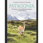 Patagonia: The History of the Southernmost Region in South America - Paperback