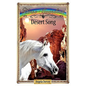 Desert Song: Sometimes Horses Need a Little Magic - Paperback