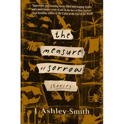 The Measure of Sorrow: Stories - Paperback