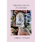 Through the Eye of Solitude - Paperback