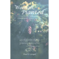 I, the Woman, Planted the Tree: A Journey Through Dreams to the Feminine - Paperback