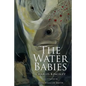 The Water Babies: Illustrated - Paperback