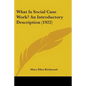 What Is Social Case Work? An Introductory Description (1922) - Paperback