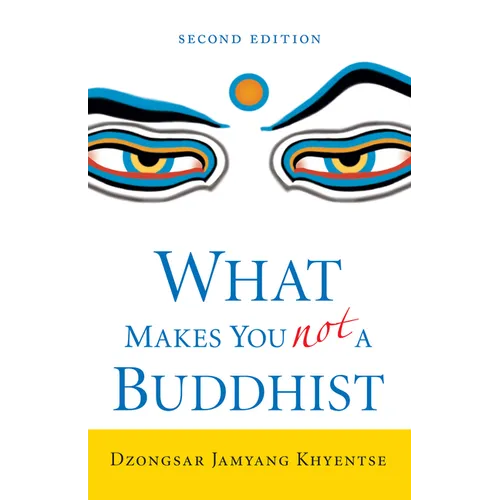 What Makes You Not a Buddhist - Paperback