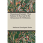 Domesticated Animals - Their Relation To Man And To His Advancement In Civilization; - Paperback