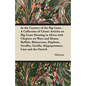 In the Country of the Big Game - A Collection of Classic Articles on Big Game Hunting in Africa with Chapters on Ways and Means, Buffalo, Rhinoceros, - Paperback