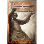 Pedagogical Imagination, Volume 1: Using the Master's Tools to Change the Subject of the Debate - Paperback