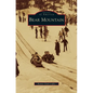 Bear Mountain - Hardcover