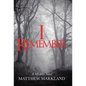 I Remember: A Mystery Novel - Hardcover