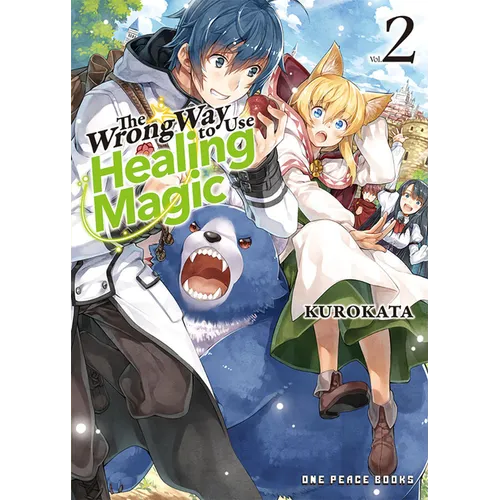 The Wrong Way to Use Healing Magic Volume 2: Light Novel - Paperback