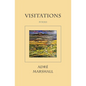 Visitations - Paperback