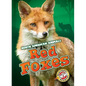 Red Foxes - Library Binding