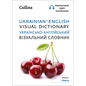 Ukrainian - English Visual Dictionary - Paperback