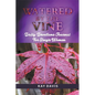 Watered by the Vine: Daily Devotions Journal for Single Women - Paperback