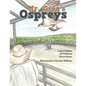Mr. Greg's Ospreys - Paperback